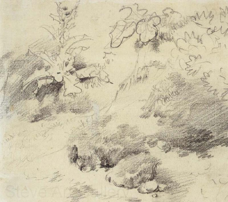 Thomas Gainsborough Study for a Foreground,a Bank with Weeds and Thistles Spain oil painting art